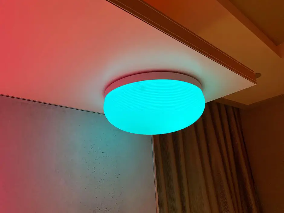 Philips Hue Flourish Personal Wireless Lighting User Manual