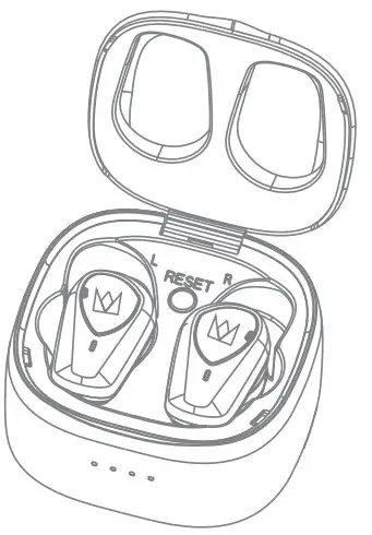 NOBLE Falcon ANC True Wireless Earbuds - Nobel Falcon