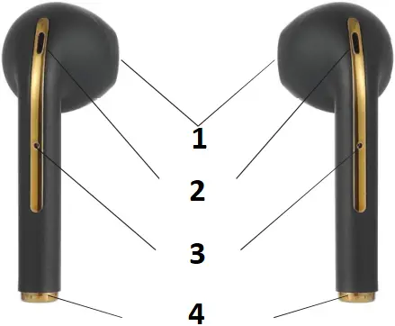 BAYSIDE abc - Features 2