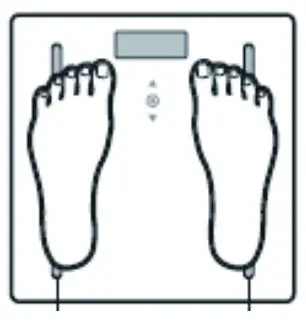 CLEVERIQ Smart WiFi Scale - TAKE