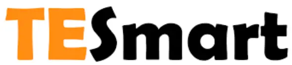 TESmart logo