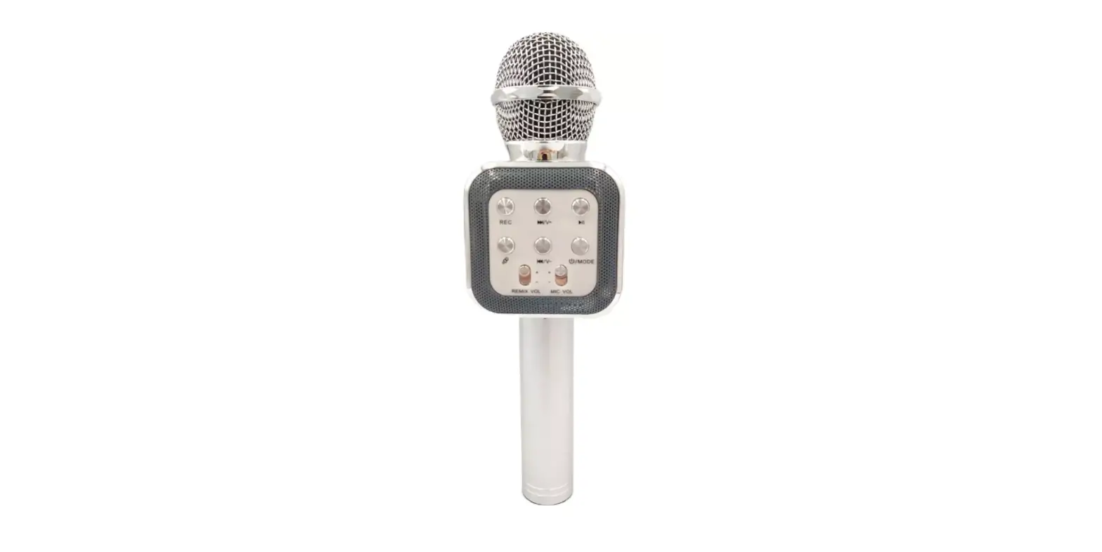 Shenzhen Ws1818 Karaoke Microphone User Manual