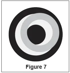VANGUARD-1220CM-Compound-Microscopes-fig11