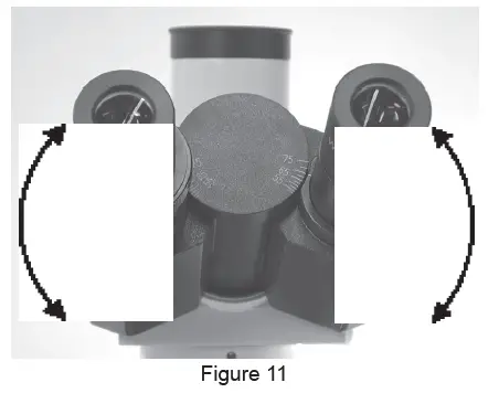 VANGUARD-1220CM-Compound-Microscopes-fig15