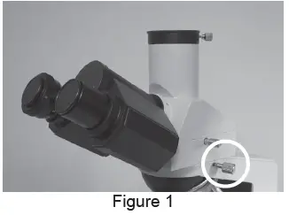 VANGUARD-1220CM-Compound-Microscopes-fig5