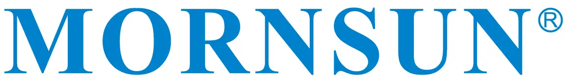 MORNSUN 305RAC AC DC Power Supply LOGO