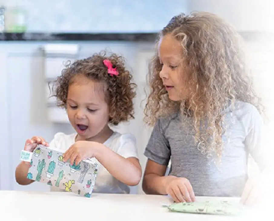 BUMKiNS SBS2 DPR4 Small Snack Bag 2 Pack