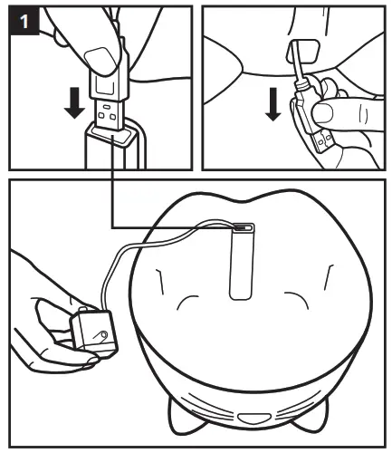 catit 43715 Pixi Drinking Fountain INSTALLATION