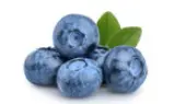 Blueberry