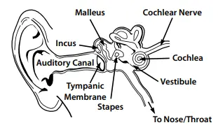 MONSTER-iSport-Wireless-Bluetooth-In-Ear-Headphones-FIG1