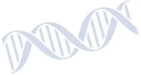 MESA Accula SARS-CoV-2 Test -5