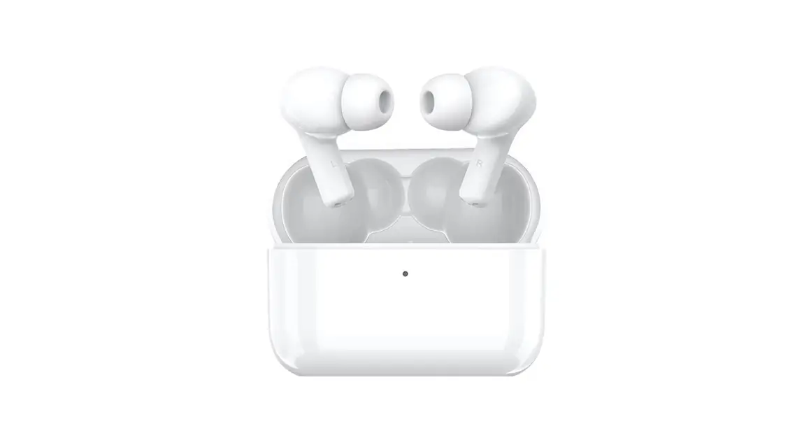 Honor Ce79 True Wireless Stereo Earbuds User Guide