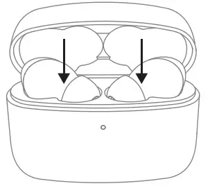 HONOR CE79 True Wireless Stereo Earbuds - Power-of