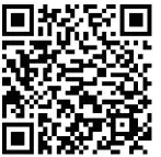 HONOR CE79 True Wireless Stereo Earbuds -qr