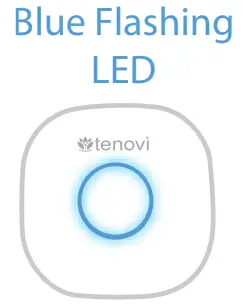 tenovi Gateway Transmits - Blue Flashing