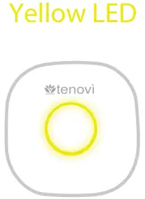 tenovi Gateway Transmits - Yellow