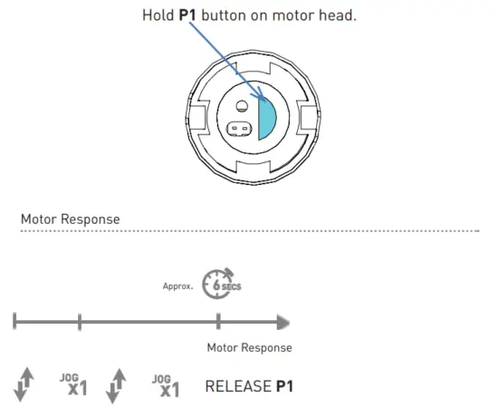 ROLLEASE ACMEDA 003B9ACA3A Automate Arc Cord Lift Motors - Enter sleep mode
