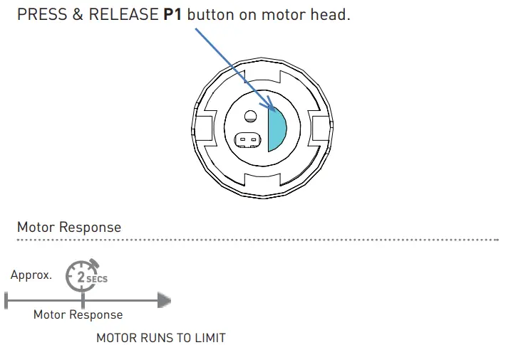 ROLLEASE ACMEDA 003B9ACA3A Automate Arc Cord Lift Motors - Exit sleep mode