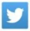 Twitter icon