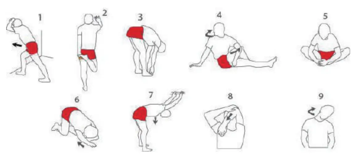 CITYSPORTS WP1D Foldable Electric Treadmill - FIG 18