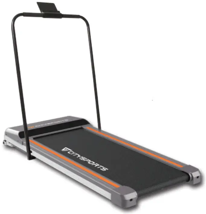 CITYSPORTS WP1D Foldable Electric Treadmill - FIGG