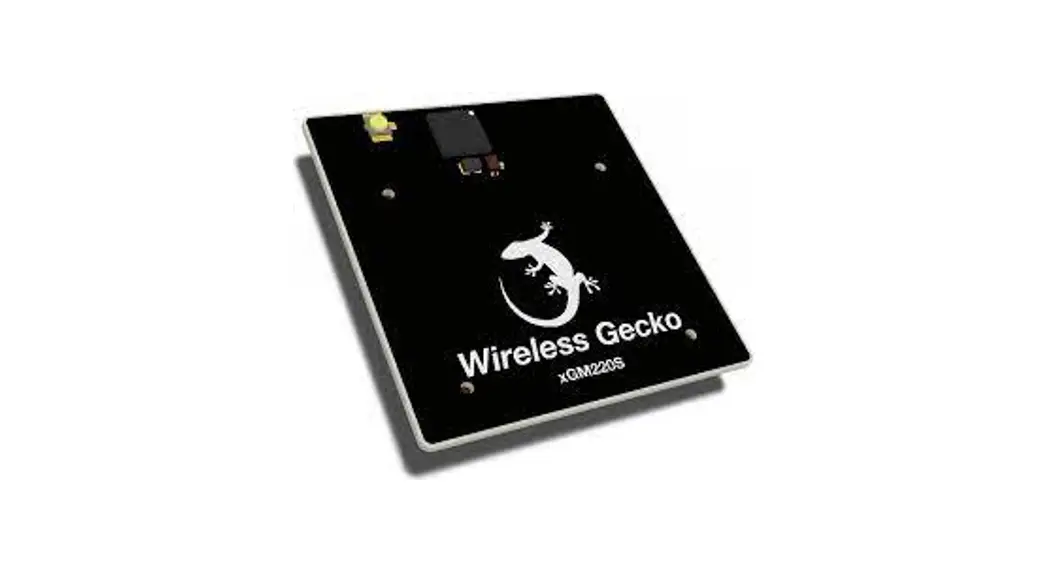 Silicon Labs Bgm220sc12 Module Radio Board User Manual Silicon Labs Bgm220sc12 Module Radio Board User Manual