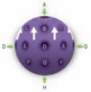 IGLOO IGLU for Young Builder Simple Instructions