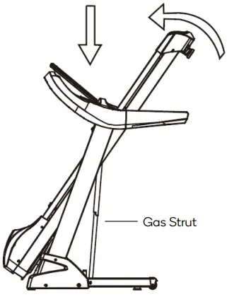 FORTIS FSEFBTM520A 520mm Belt Luxury -Gas Strut