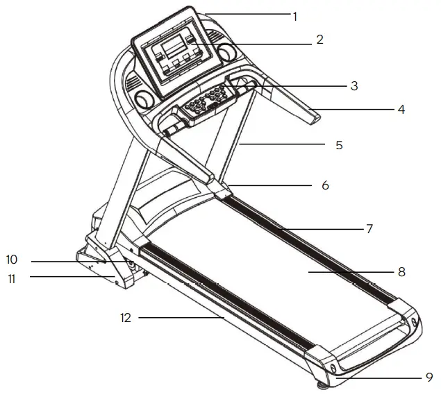 FORTIS FSEFBTM520A 520mm Belt Luxury -OVERVIEW