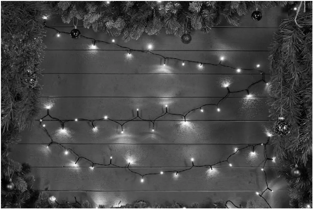 EKVIP 021681 String Light