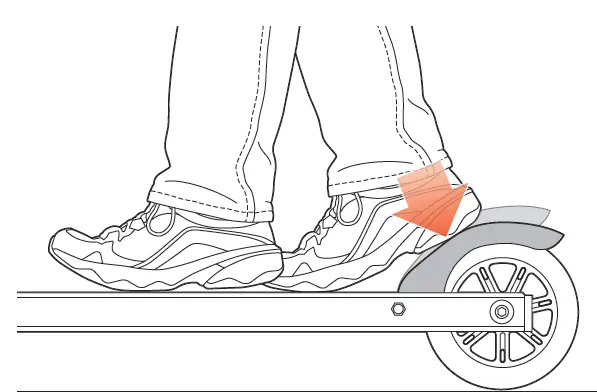 Diagram-illustration 4