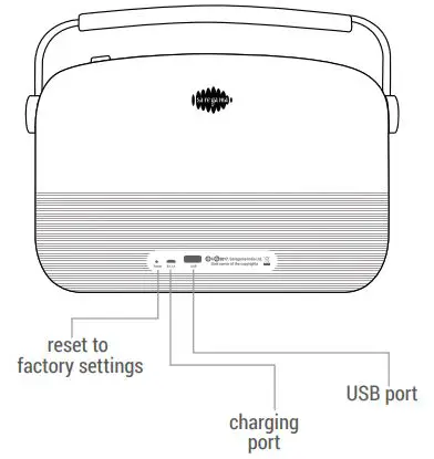 SAREGAMA Carvaan Mini 2.0 Bluetooth Speaker fig5