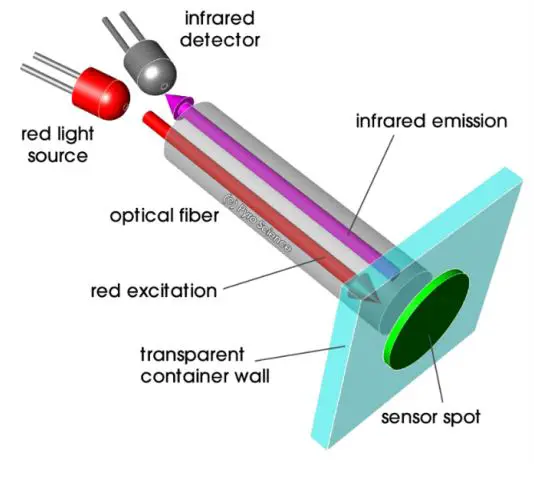 PyroSciencE-FireSting-PRO-Optical-Multi-Analyte-Meter-5