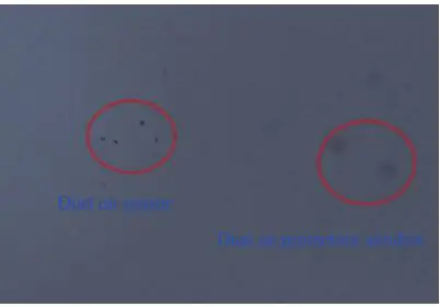 SVBONY Electronic Eyepiece Telescope Camera User Manual - dark black spot