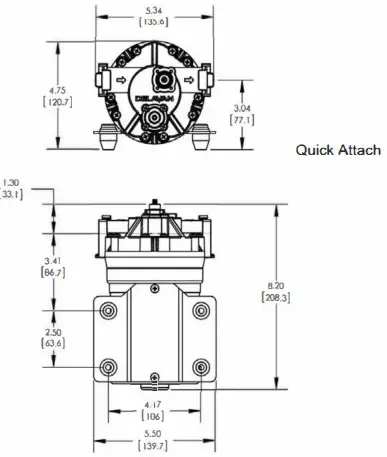 BG FB-2 Diaphragm Pump-fig7