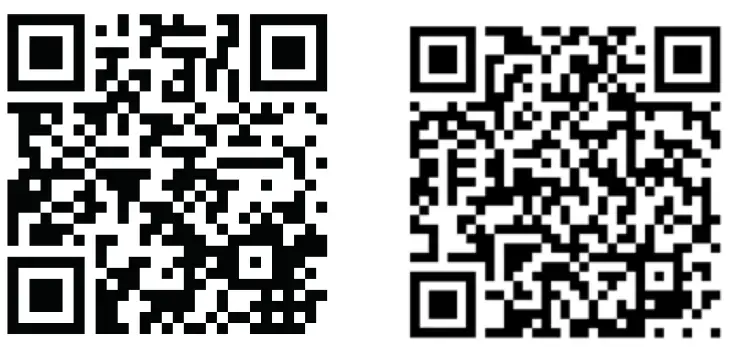 BRESSER RGT1001 Wireless Rain Gauge with Outdoor Temperature - qr code 1