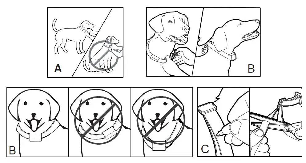 PATPET-T220-Remote-Training-Collar-FIG-9