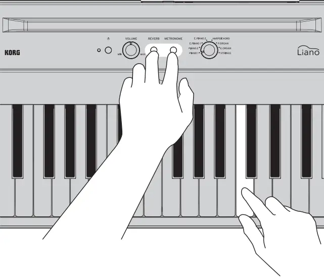 KORG Liano Digital Piano - Fig 7