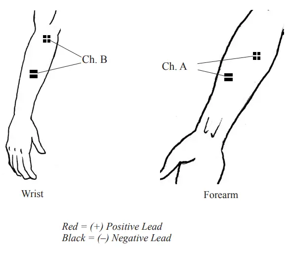 Chattanooga Primera-10