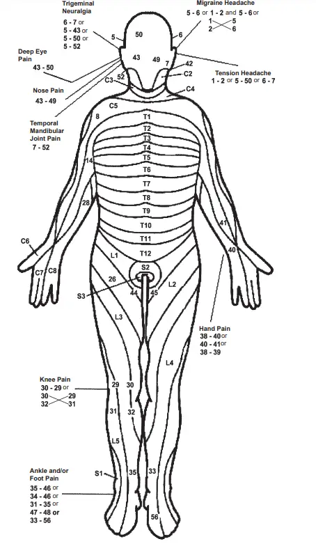 Chattanooga Primera-14