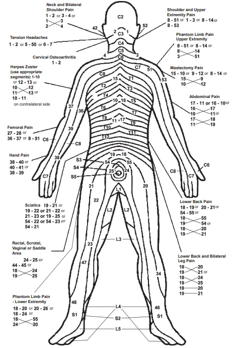 Chattanooga Primera-15