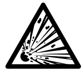 MERLIN 58185 UP 3 8 Inch NPT (F) Intermediate Filter - icon