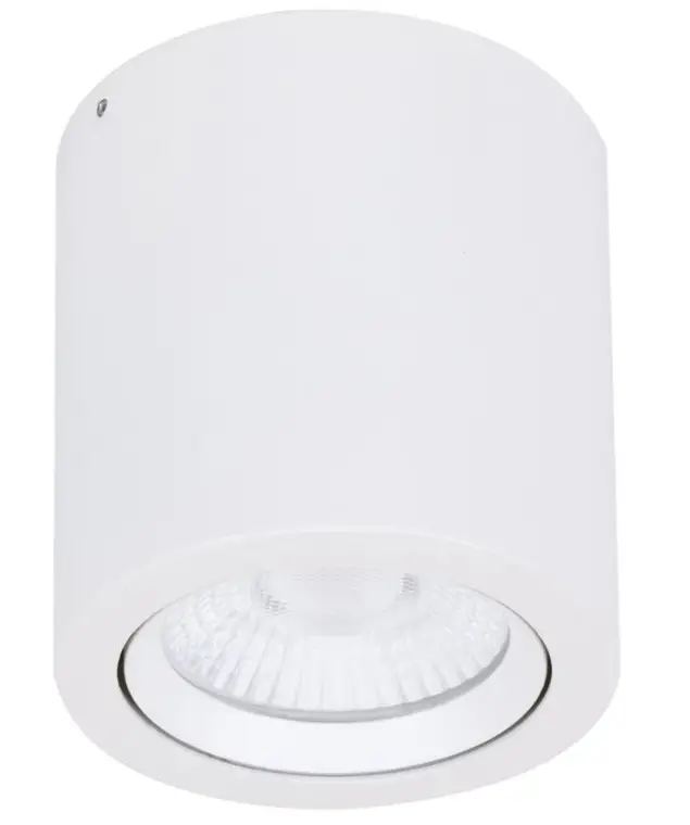 DOMUS LIGHTING NEO-20-SM-TILT Round 20W Surface Mount Tiltable LED Dimmable IP20 Downlight Product