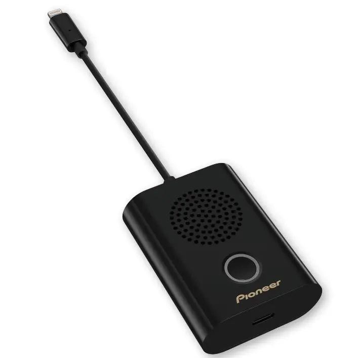 Pioneer Rayz Rally Speaker Datasheet