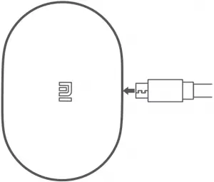 Mi True Wireless Earbuds Charging A