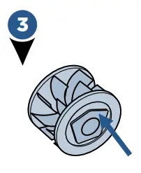 Maintain the Pet TurboEraser® Tool 3