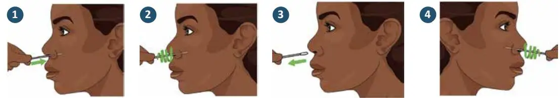 Celltrion DiaTrust COVID-19 Ag Rapid Test Instructions - Collecting Your Nasal (mid-turbinate) Swab Sample