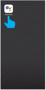 Connecting to Google Home