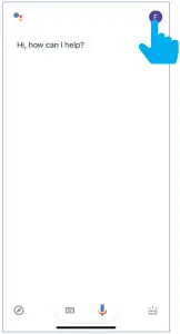 Connecting to Google Home