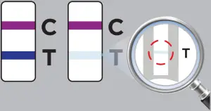 Results Interpretation